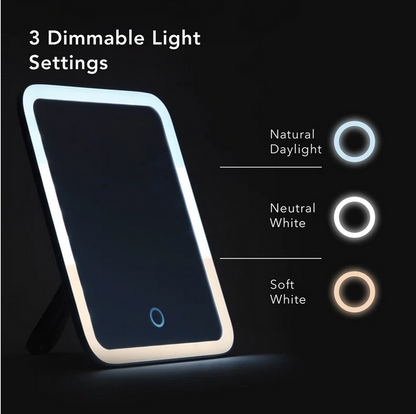 Luxus LED Kosmetikkoffer